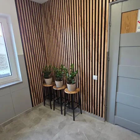 Bezplatny Dowoz Airnest24 Lotnisko Katowice-pyrzowice * Saczow